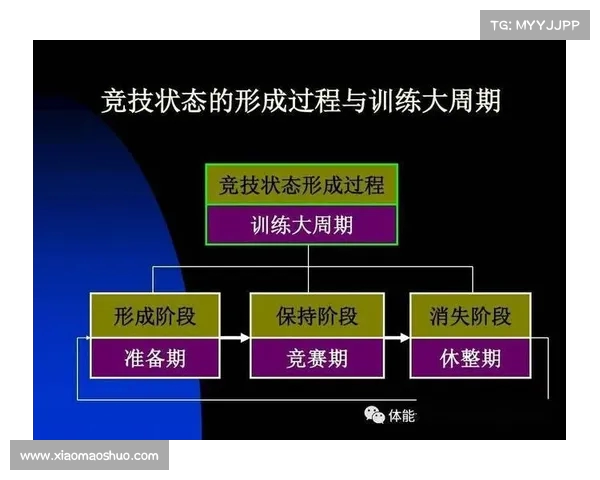 基于体能分配优化的运动训练策略与实施路径研究 基于体能分配优化的运动训练策略与实施路径研究